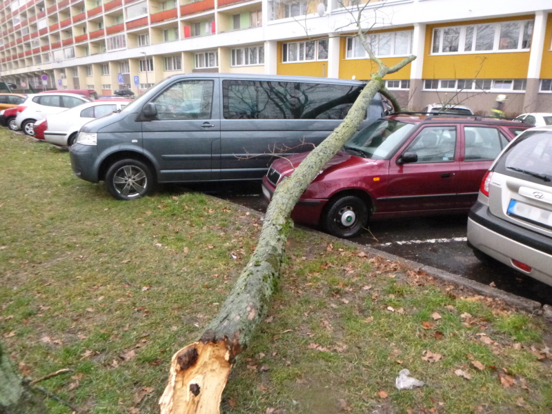 Následky vichřice Sabine v Královéhradeckém kraji