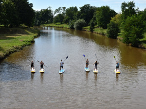 Medikemp Lékařské fakulty v Hradci Králové (2020)