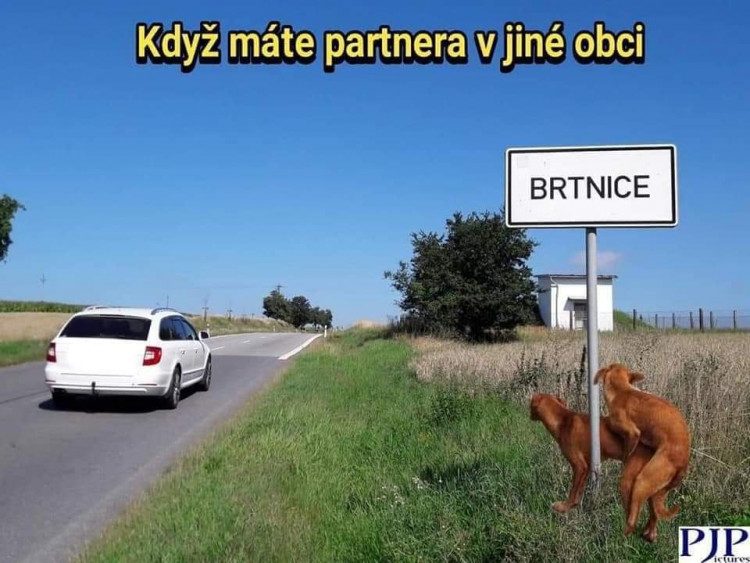 GALERIE: fotky a virální videa o koronaviru