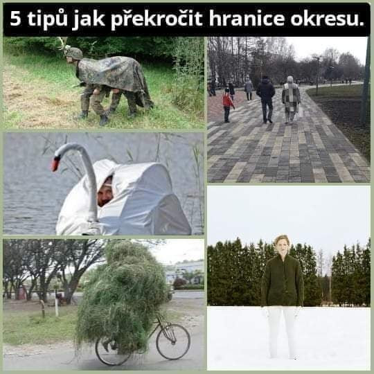 GALERIE: fotky a virální videa o koronaviru