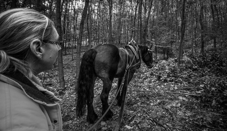 GALERIE: Veronika Králová a její kůň Kuba