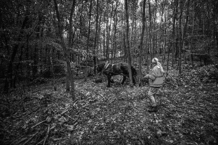 GALERIE: Veronika Králová a její kůň Kuba