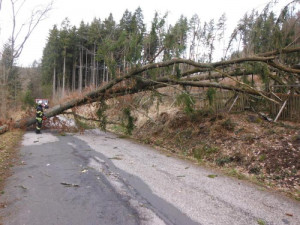 Následky silného větru hasiči řešili i o víkendu