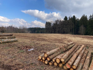 Pokračování trasy ze Studénky ve směru na Heřmanice. 