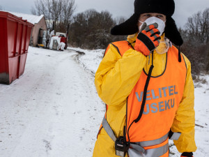 GALERIE: Likvidace chovu v Dobřenicích u Hradce Králové