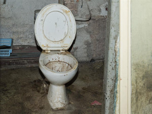 GALERIE: Jak vypadá Hirschova vila v Hořicích?