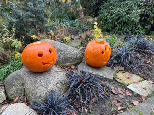 GALERIE: Týden duchů v Safari Parku (2024)