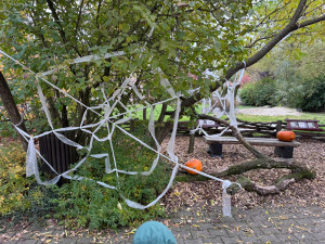 GALERIE: Týden duchů v Safari Parku (2024)