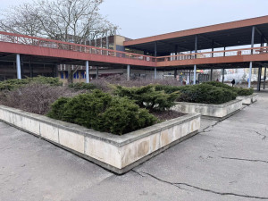 GALERIE: Hvězda v Hradci Králové (2025)