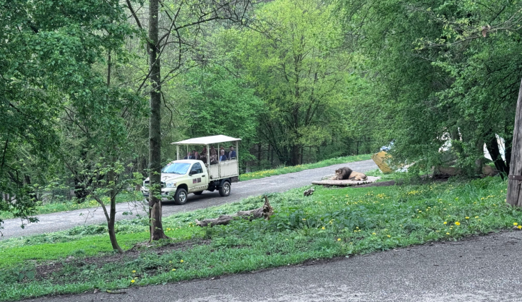 GALERIE: Návštěva prezidenta Petra Pavla v Královéhradeckém kraji (duben 2025)