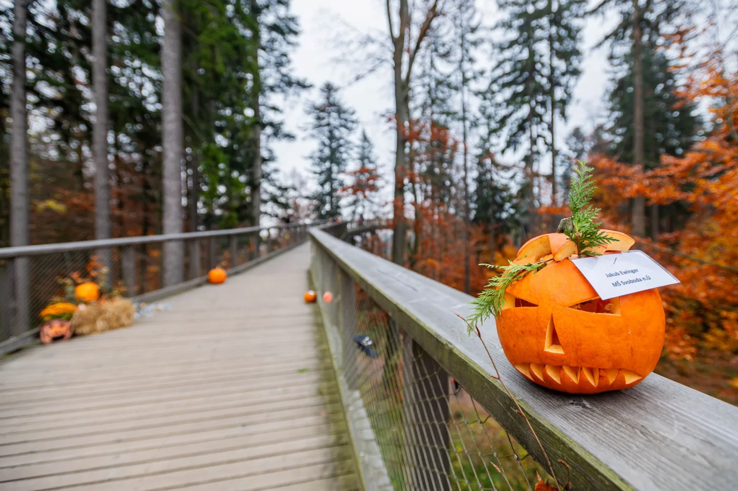 Halloween na Stezce korunami stromů