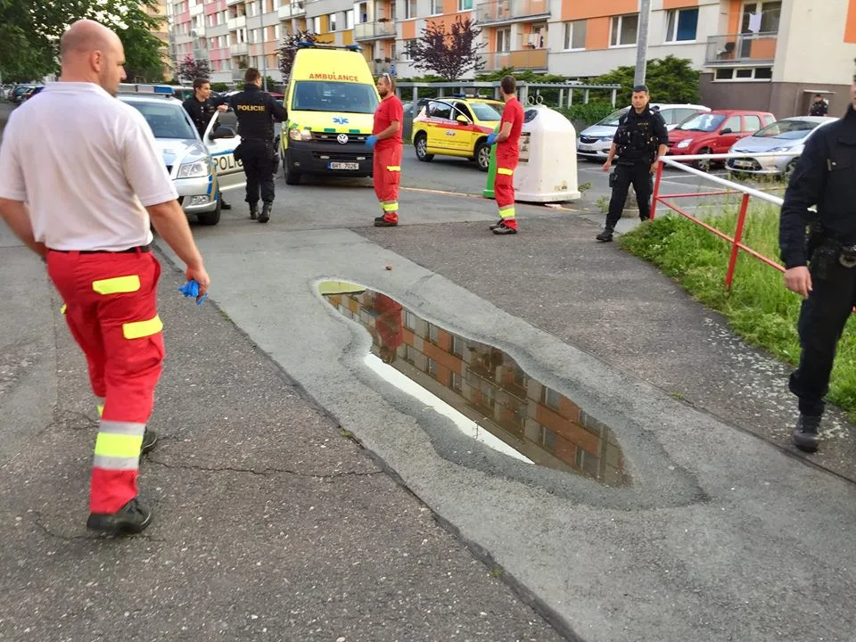 Kaluž ke které vyjížděli záchranáři