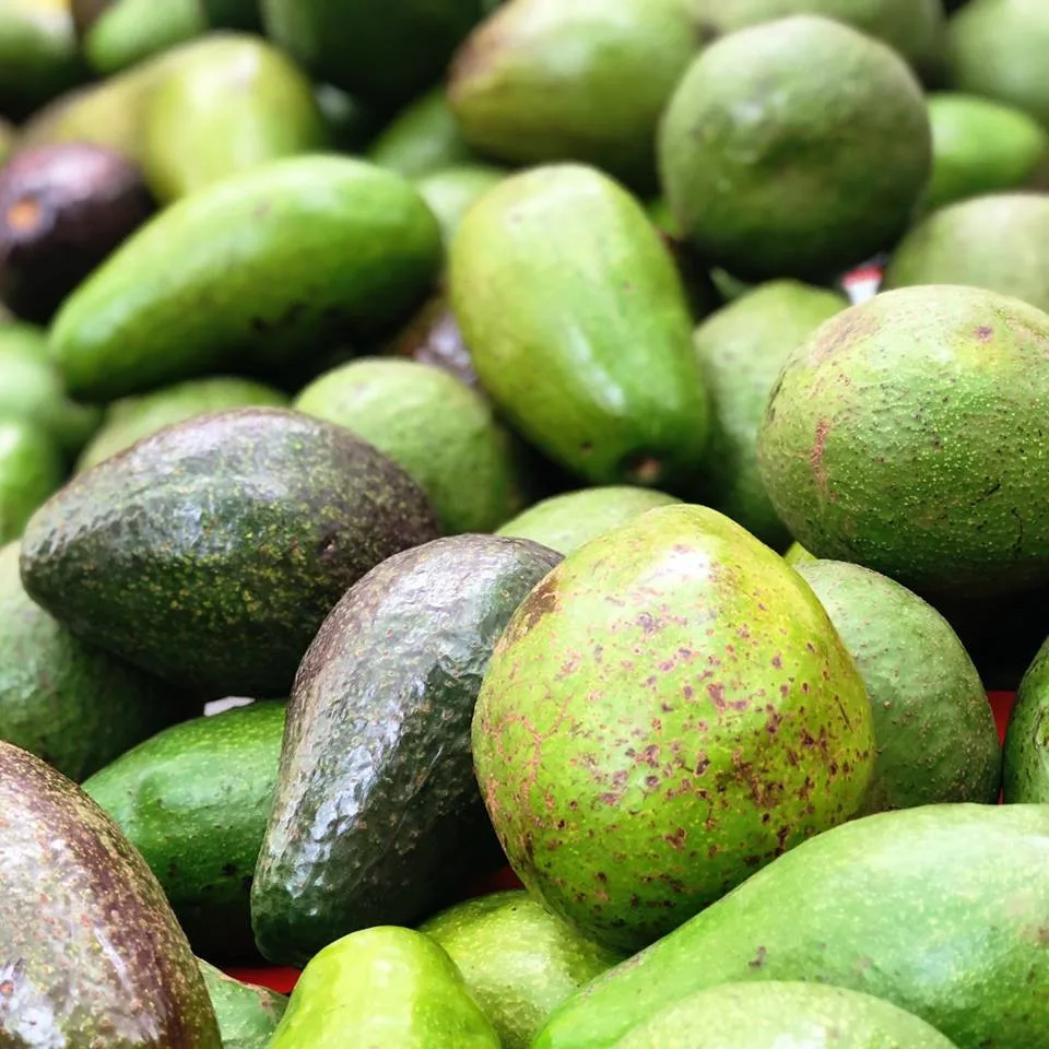 Na Náplavce se bude ochutnávat exotické ovoce, Virunga doveze annony, dračí ovoce i jackfruity