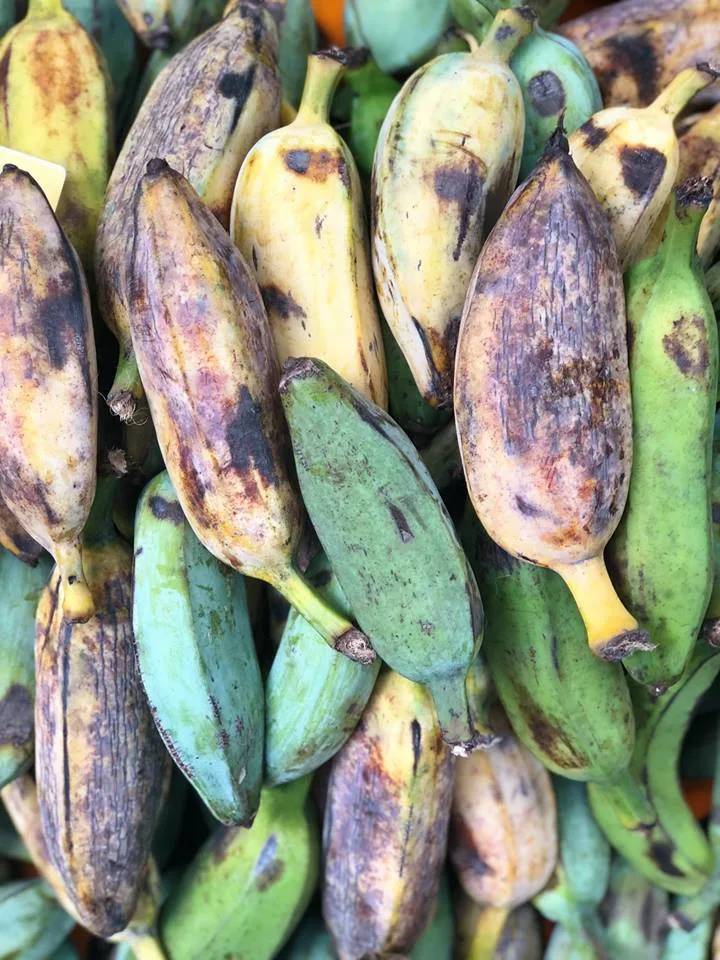Na Náplavce se bude ochutnávat exotické ovoce, Virunga doveze annony, dračí ovoce i jackfruity
