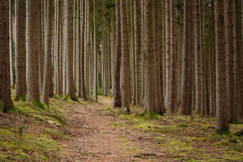 Ilustrační foto