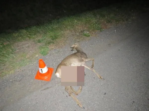 Foto PČR