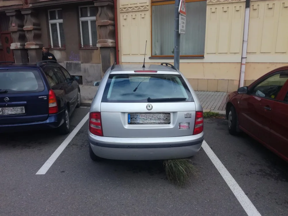 Fabia s trsem trávy