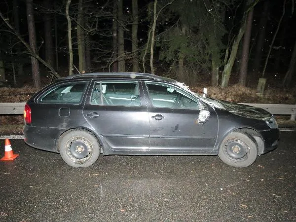 Poškozené auto po pádu stromu