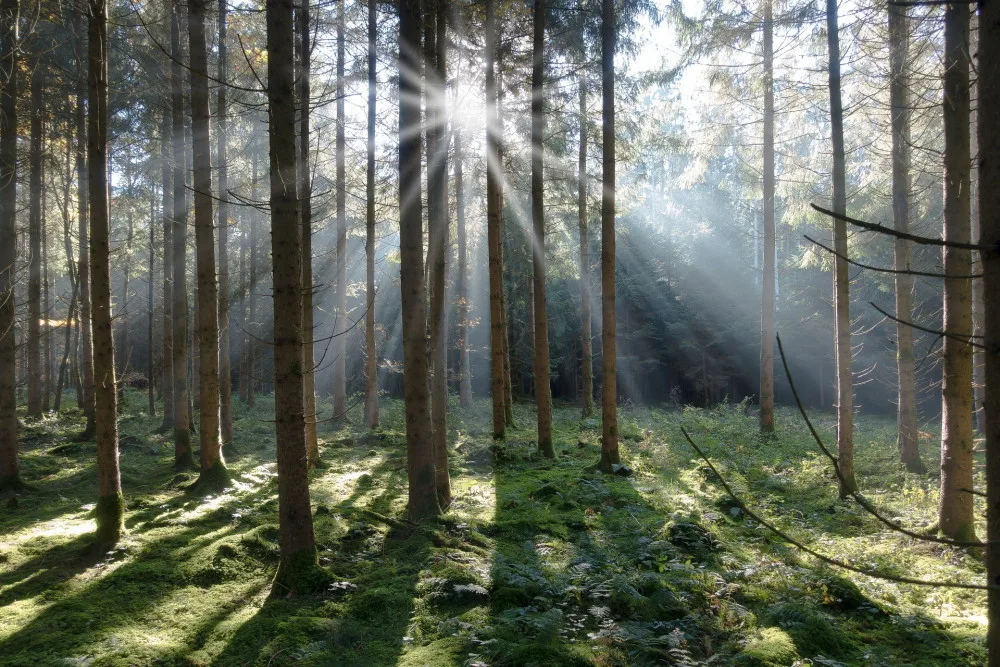 Ilustrační foto.