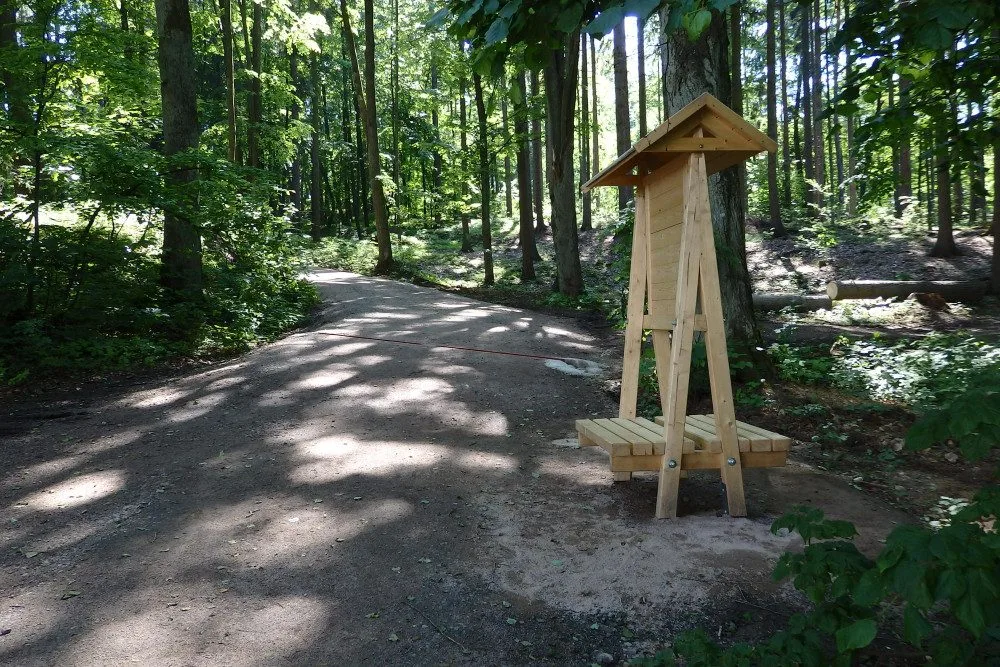 lesní cesta