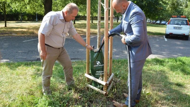 ilustrační foto