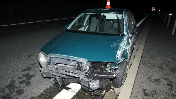 dopravní nehoda na dálnici D11