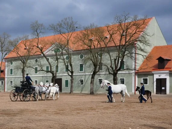 Hřebčín Kladruby