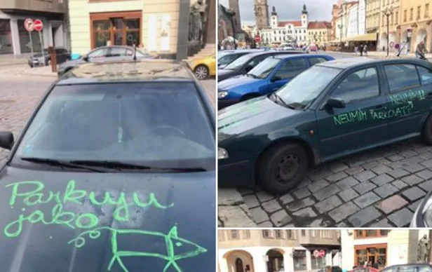 Žena se se svým dílem pochlubila