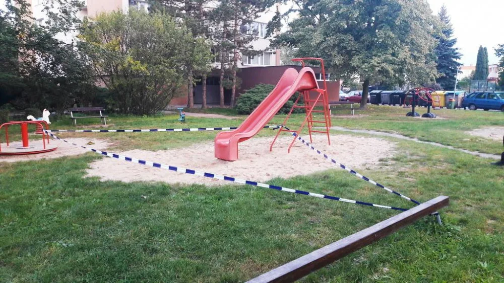 Místo, kde strážnici kočku našli