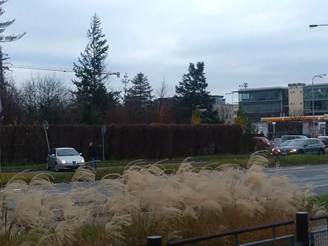Zmatené řidičce pomohl všudypřítomný řidič dalšího automobilu.