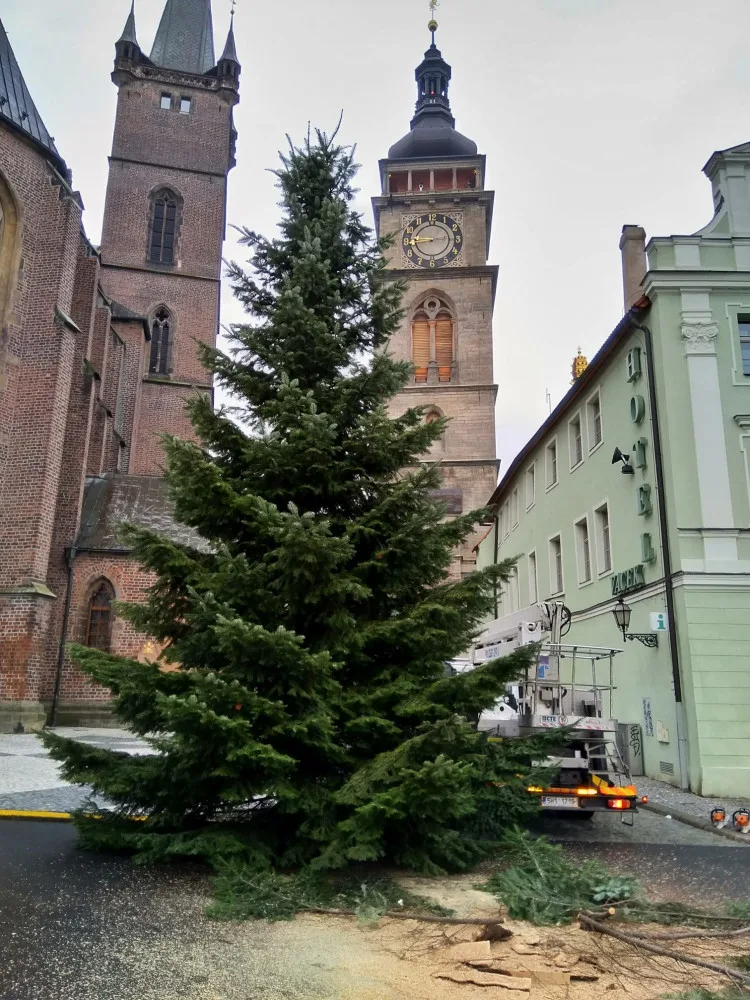 Vánoční strom na velkém náměstí