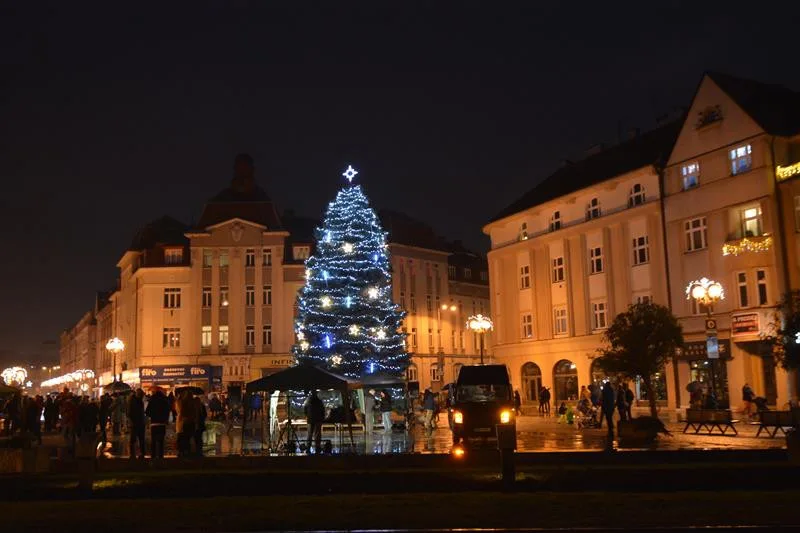 Vánoční strom na Masarykové náměstí