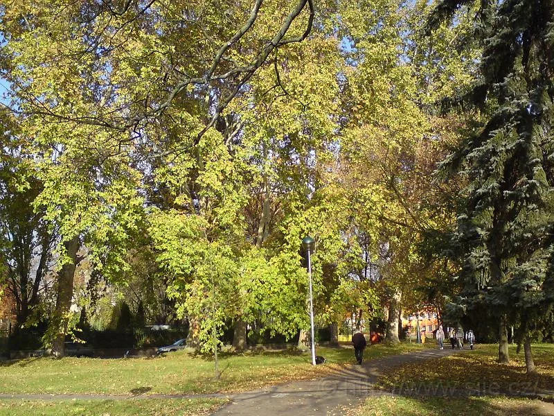 Kubištovy sady
