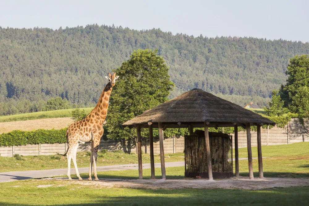 Zoo Dvůr Králové nad Labem
