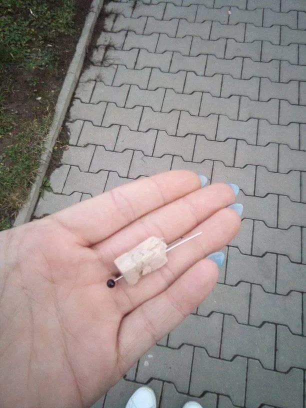 Foto návnady