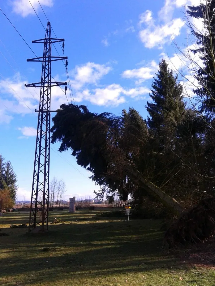 Nýřany-Křimice