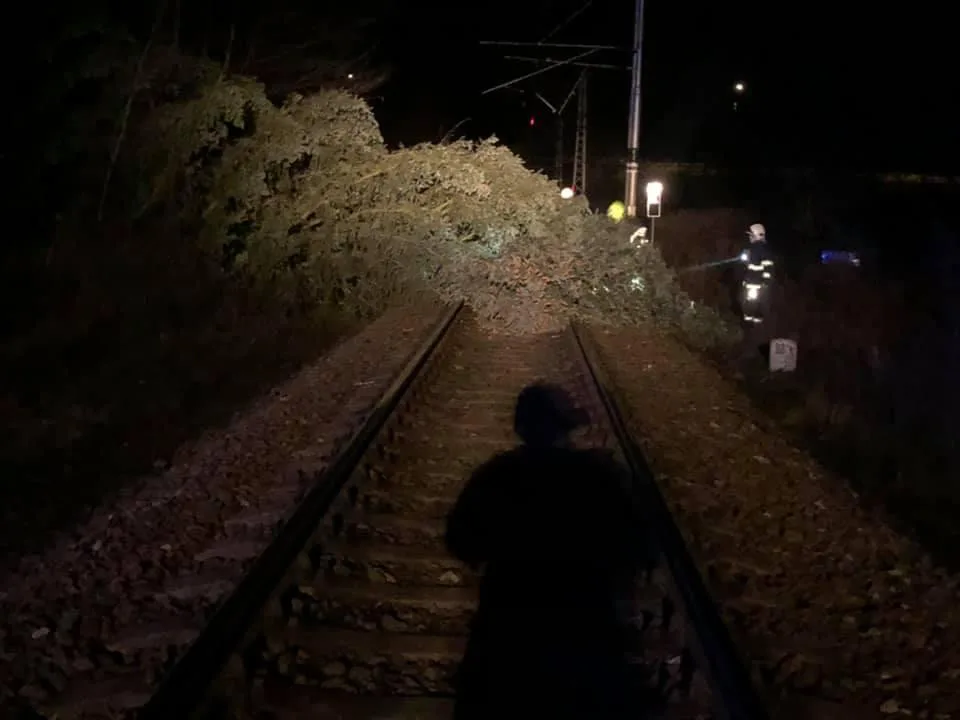 Strom na trati v Týništi nad Orlicí.