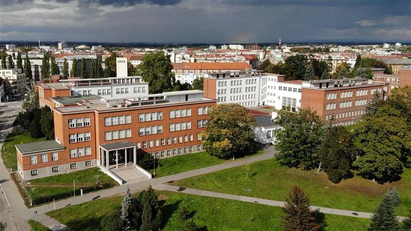 ilustrační foto