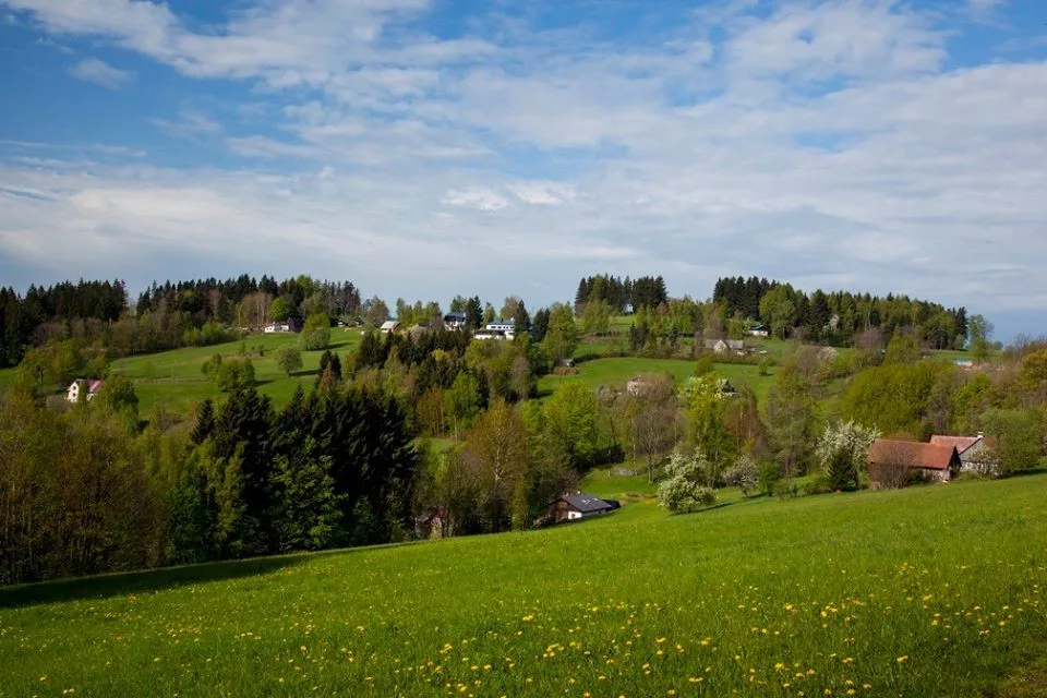 Horská louka v Krkonoších