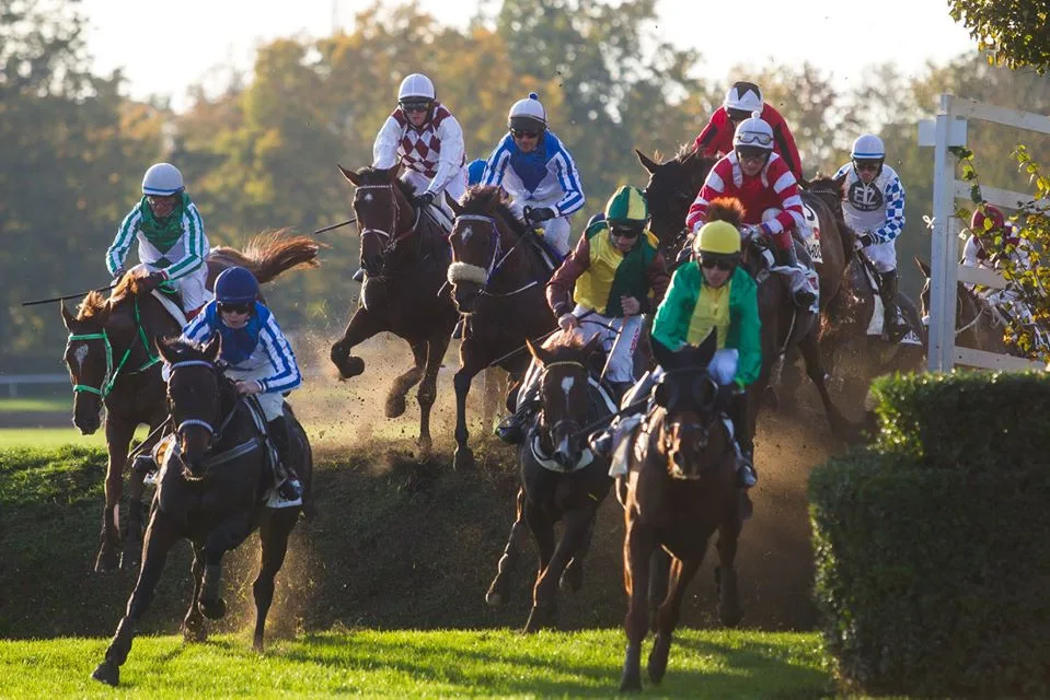 foto ze 129. Velké pardubické se Slavia pojišťovnou