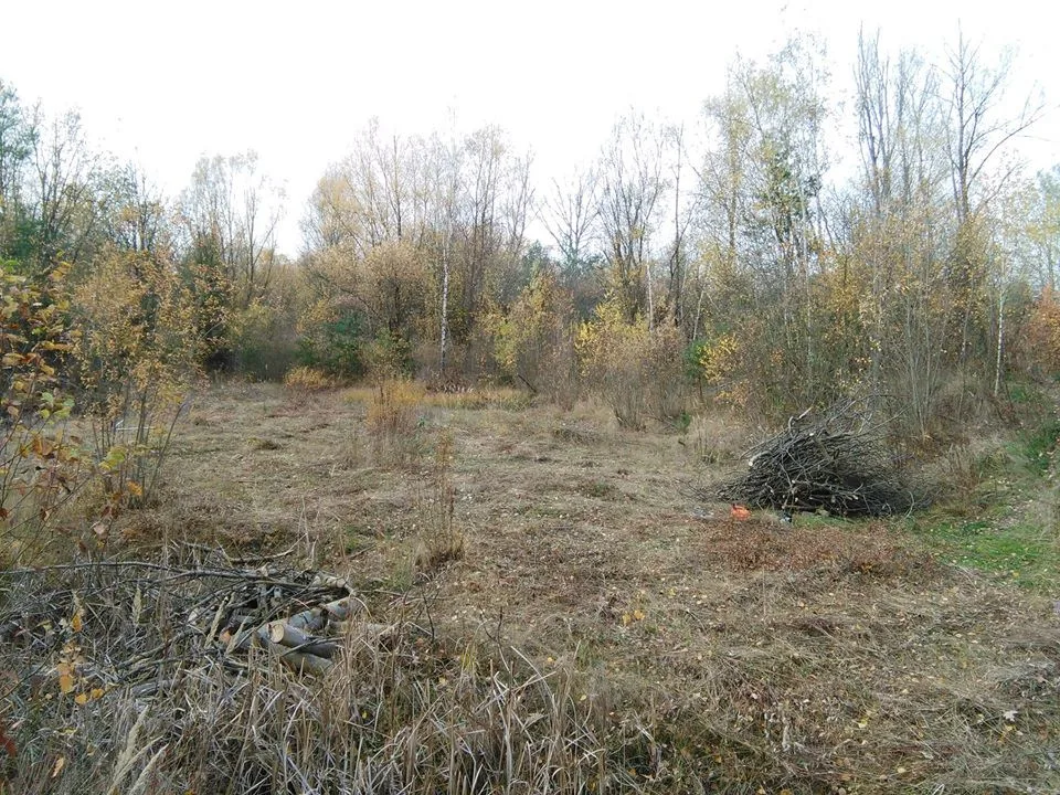 Přírodní lokalita na Plachtě v Hradci Králové
