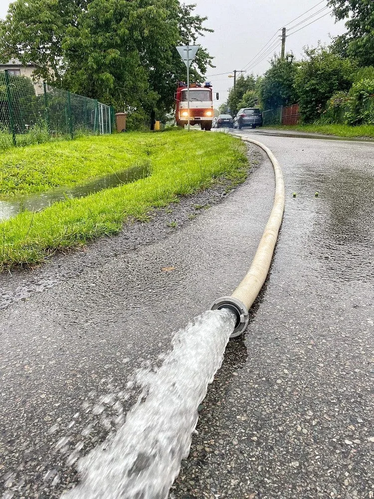 Lupenice na Rychnovsku