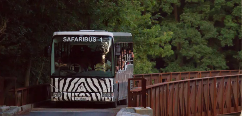 Safaribus