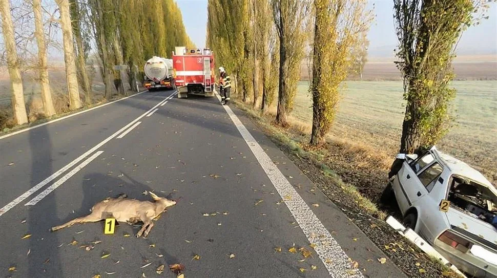 ilustrační foto