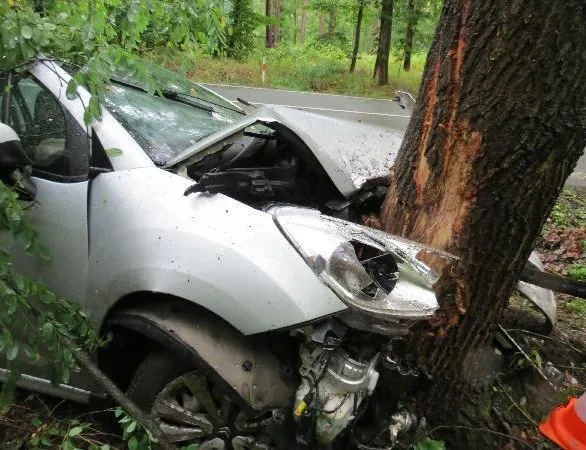 Rychlou jízdu na mokru ukončil až strom vedle silnice. Řidič je v nemocnici