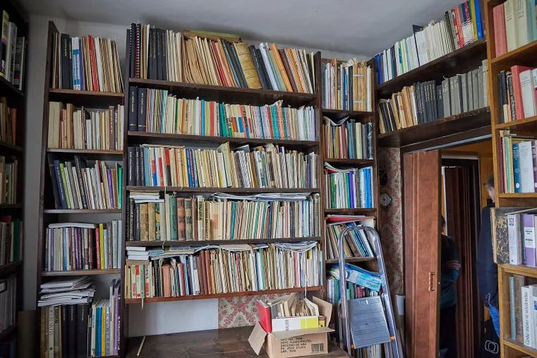 Knihovna profesora Wolfa