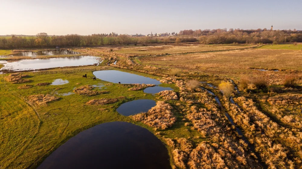 Ptačí park Josefovské louky se rozroste. Jaroměř poskytla nové pozemky pro jeho rozšíření
