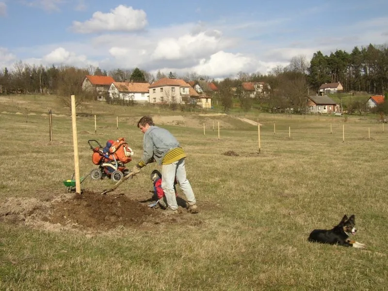 Vykašlali jsme se na práci v Praze a založili si farmu, říkají Susovy. Splnili si tak celoživotní sen
