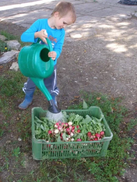 Vykašlali jsme se na práci v Praze a založili si farmu, říkají Susovy. Splnili si tak celoživotní sen