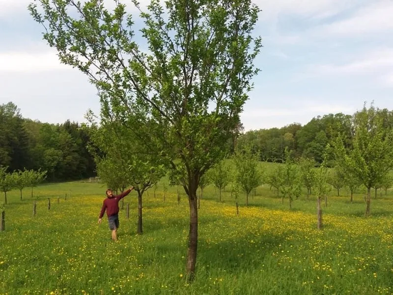 Vykašlali jsme se na práci v Praze a založili si farmu, říkají Susovy. Splnili si tak celoživotní sen